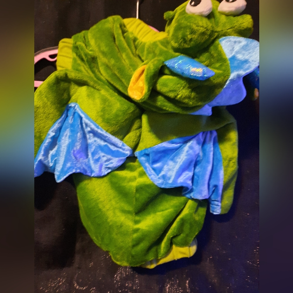 Toddler Halloween costume - Picture 3 of 3